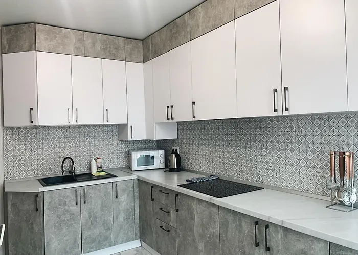 Domovik трьохкімнатна , миру 11 с кв 19 * Munkács